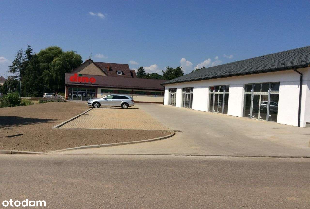 Lokal użytkowy sklep / piekarnia / cukiernia - Pełny obrazek: 5/6