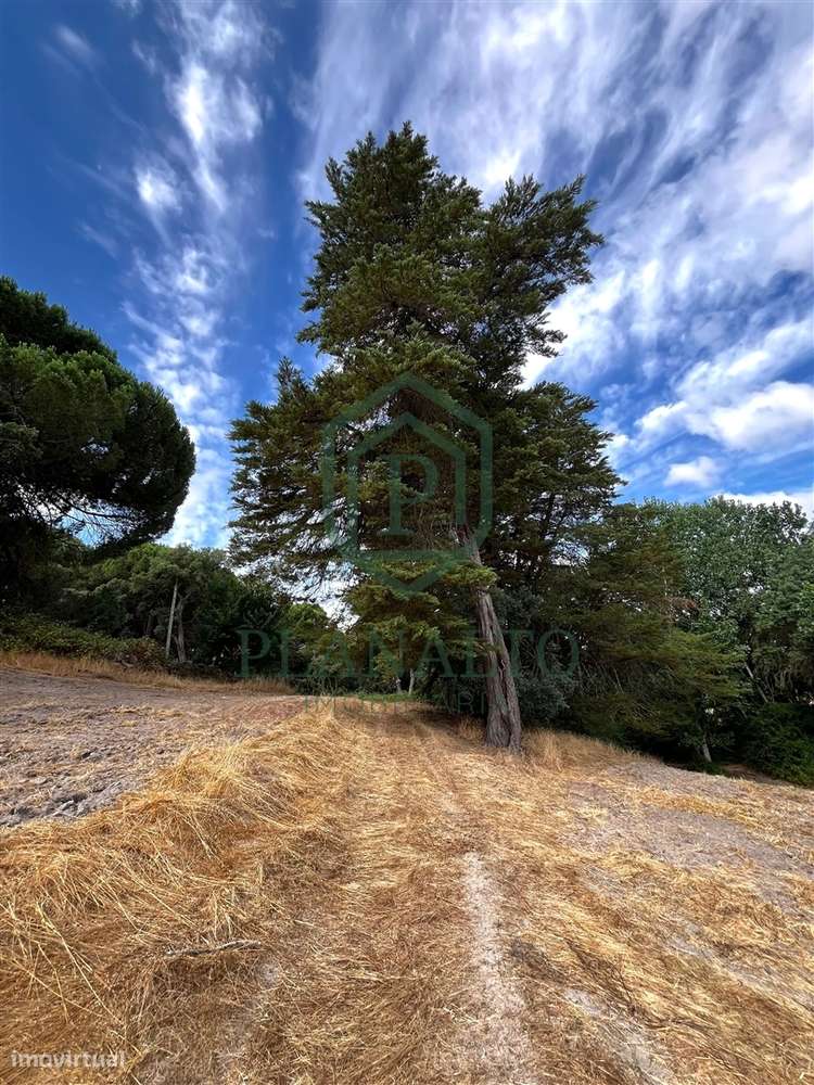Quinta >=T10 Venda em Cortiçadas de Lavre e Lavre,Montemor-o-Novo-32