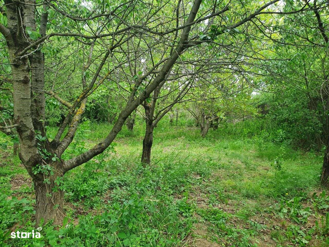 Vand Teren itarvilan Varianta Margineni - Hemeiusi - Imagine principală: 4/9