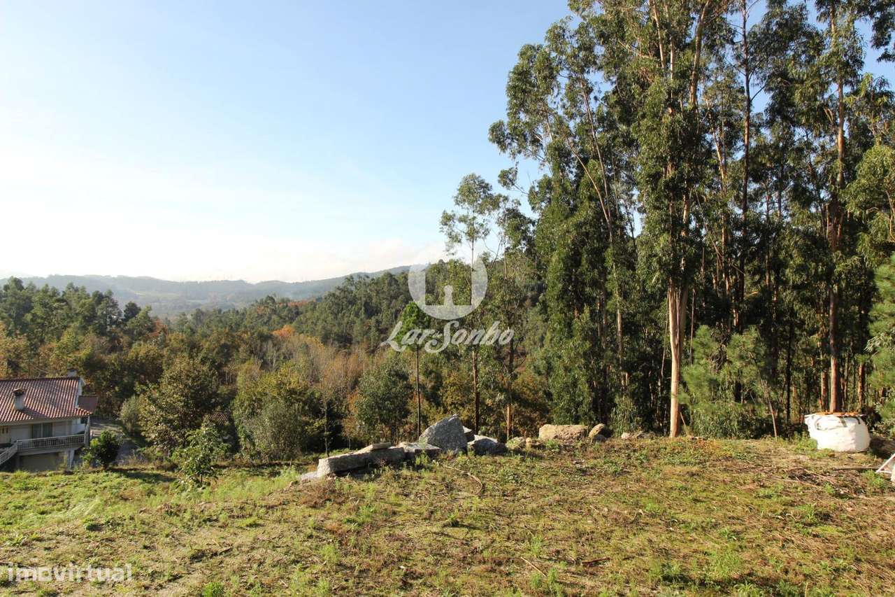 Excelente Terreno para Construção  1.875 m² - Grande imagem: 4/6