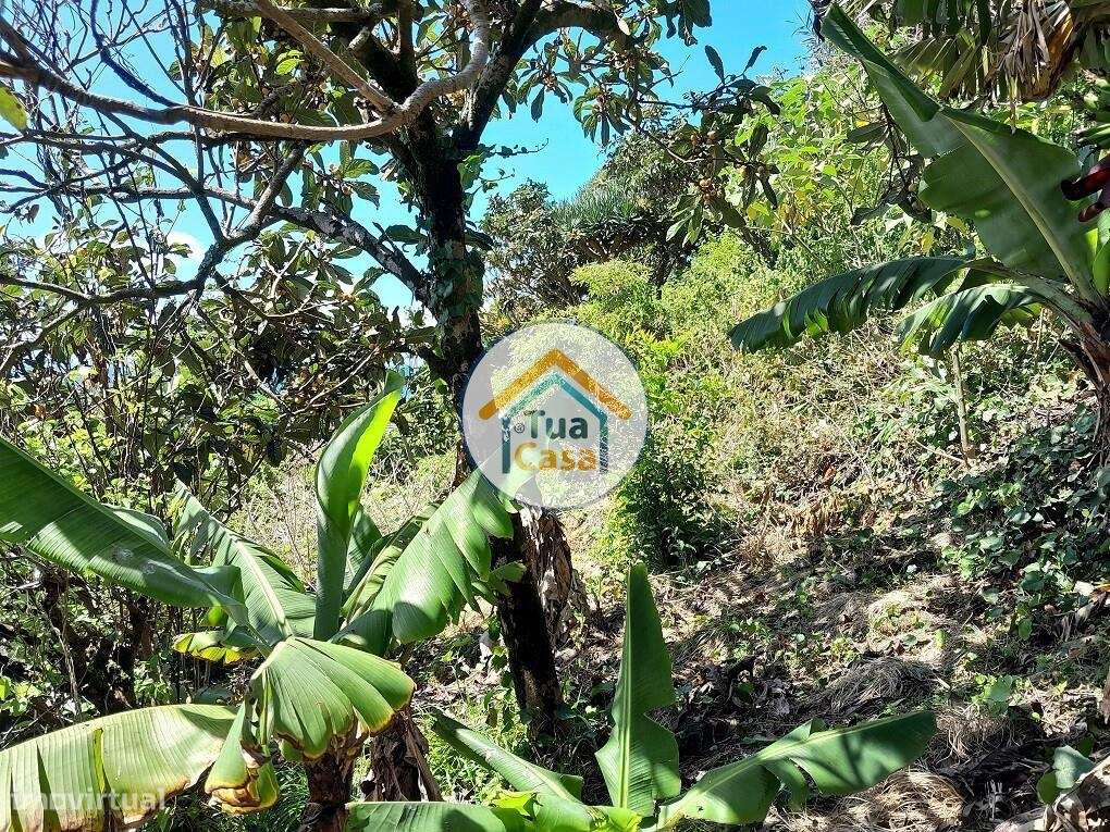 Terreno Rústico em Área Urbanizável, bem localizado na Urbanização San - Grande imagem: 4/29