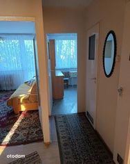 3pok rozkład balkon piwnica Karłowice-Różanka