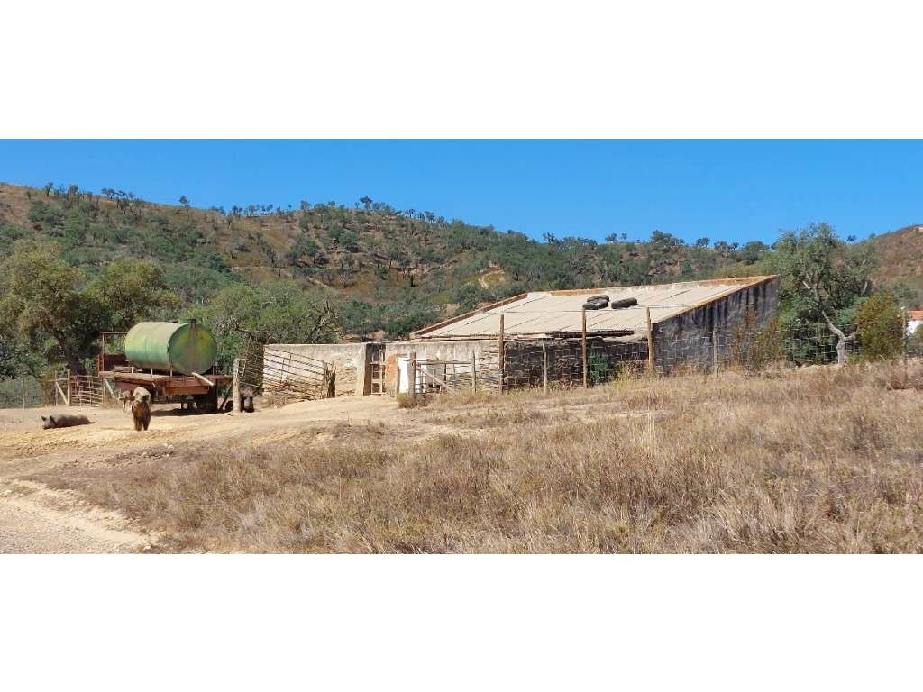 HERDADE 92 ha l Colos-40