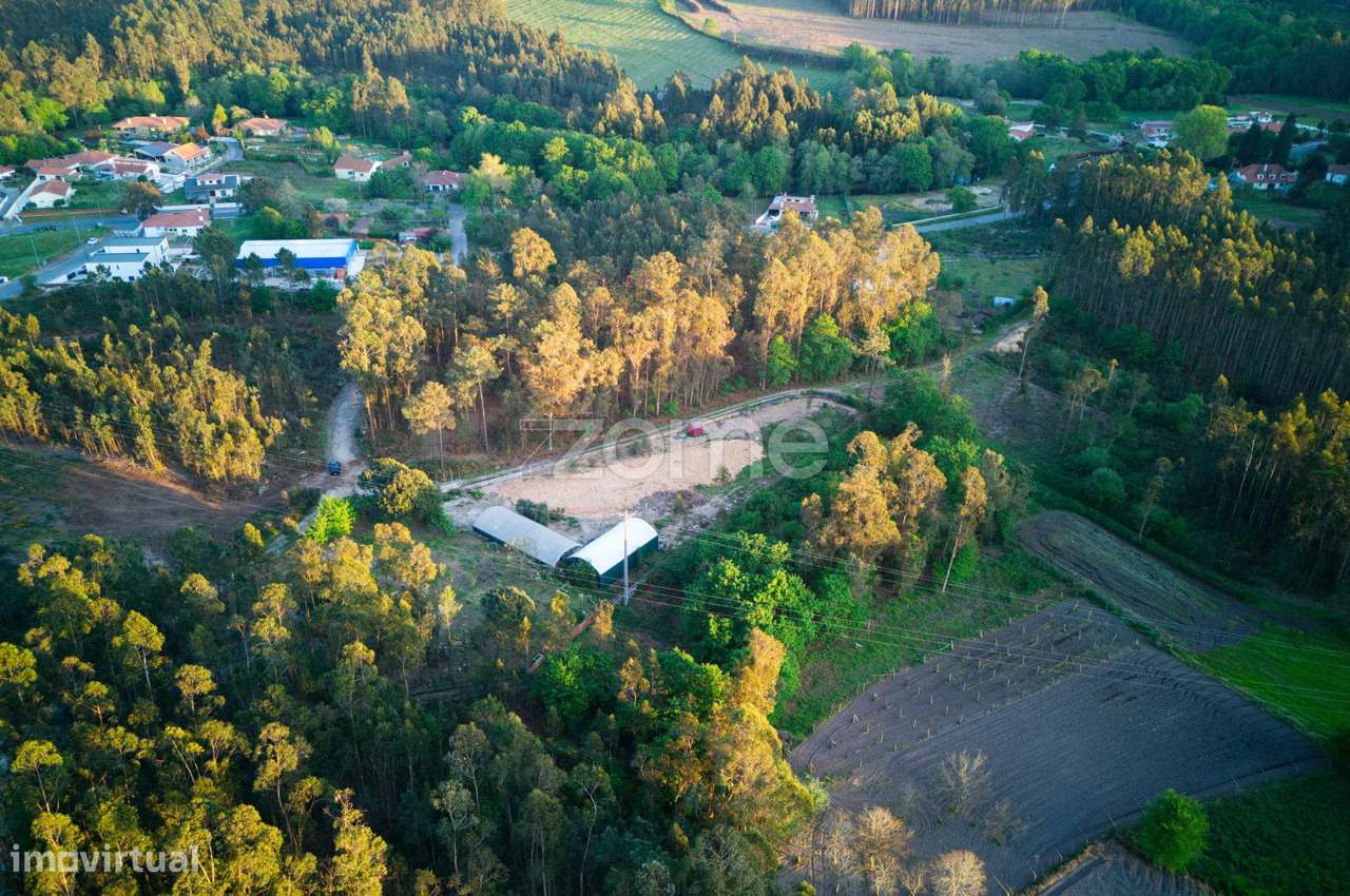 Terreno agrícola em Fragoso-13