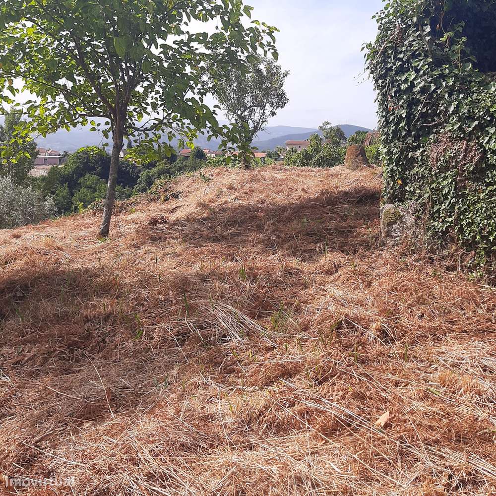 Casa em pedra para reconstruir Canelas Penafiel-35