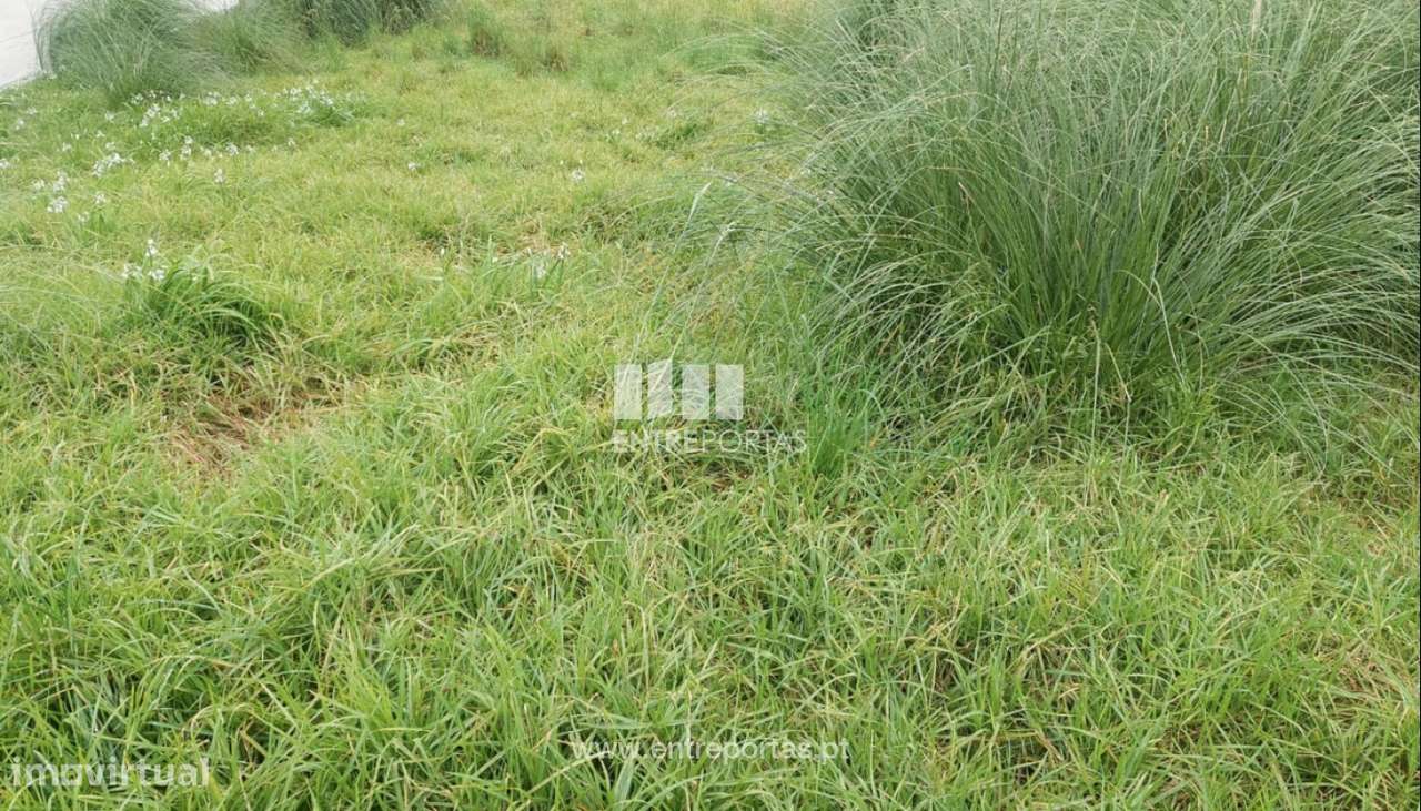 Venda de Lote com 325 m2, em Touguinha, Vila do Conde - Grande imagem: 2/12