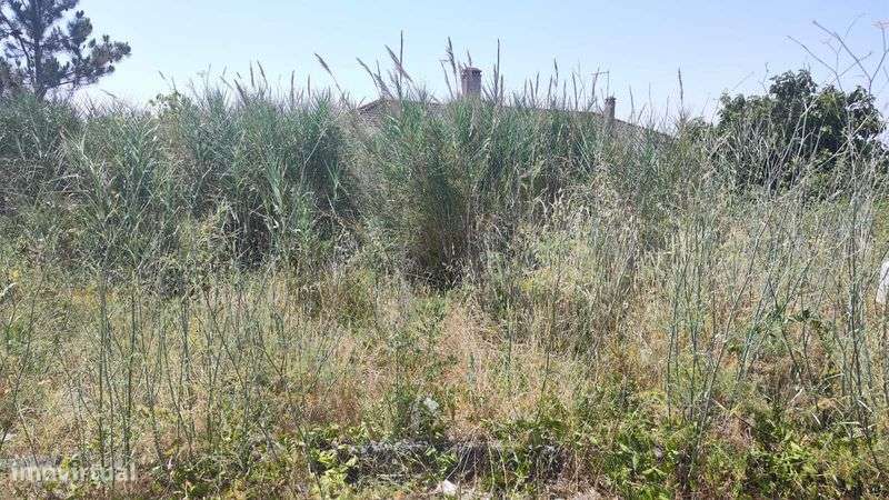 Lote terreno urbano 555m2 - Grande imagem: 4/8