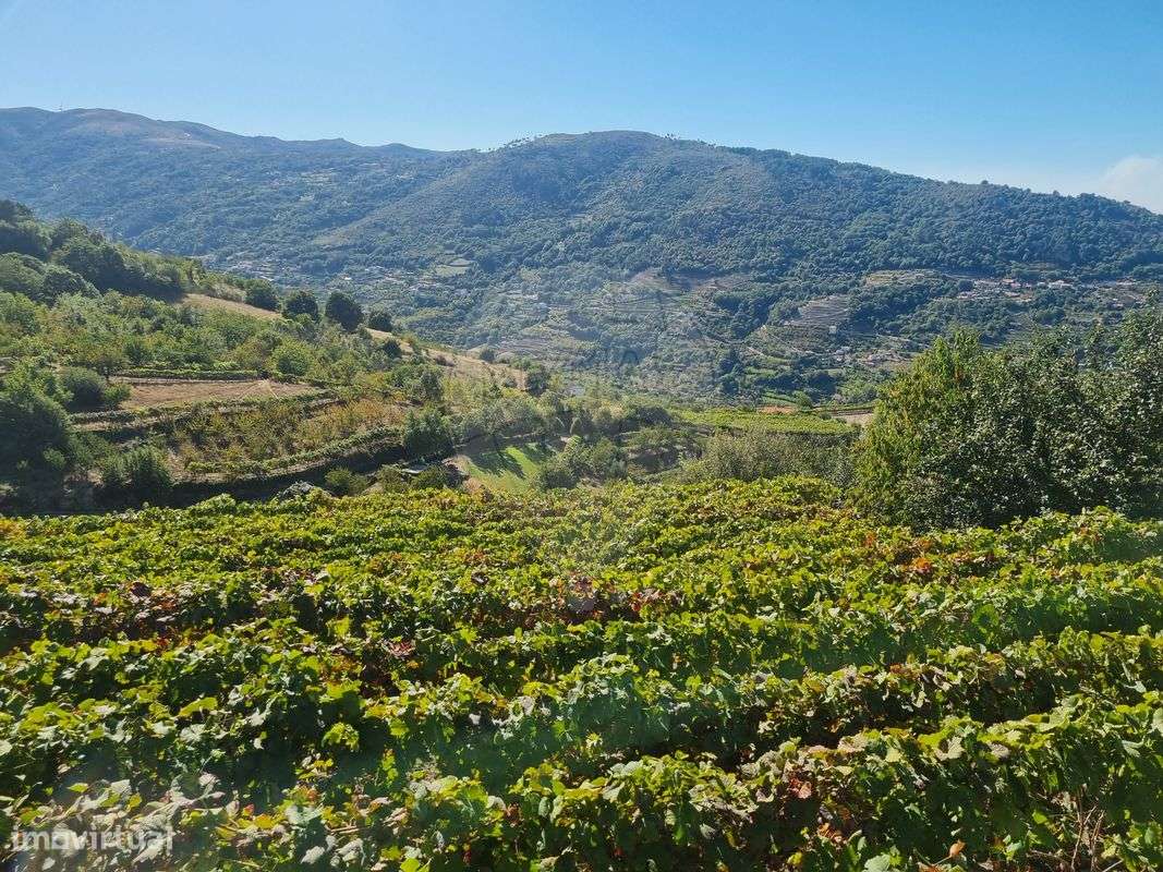 Quinta  para venda-31