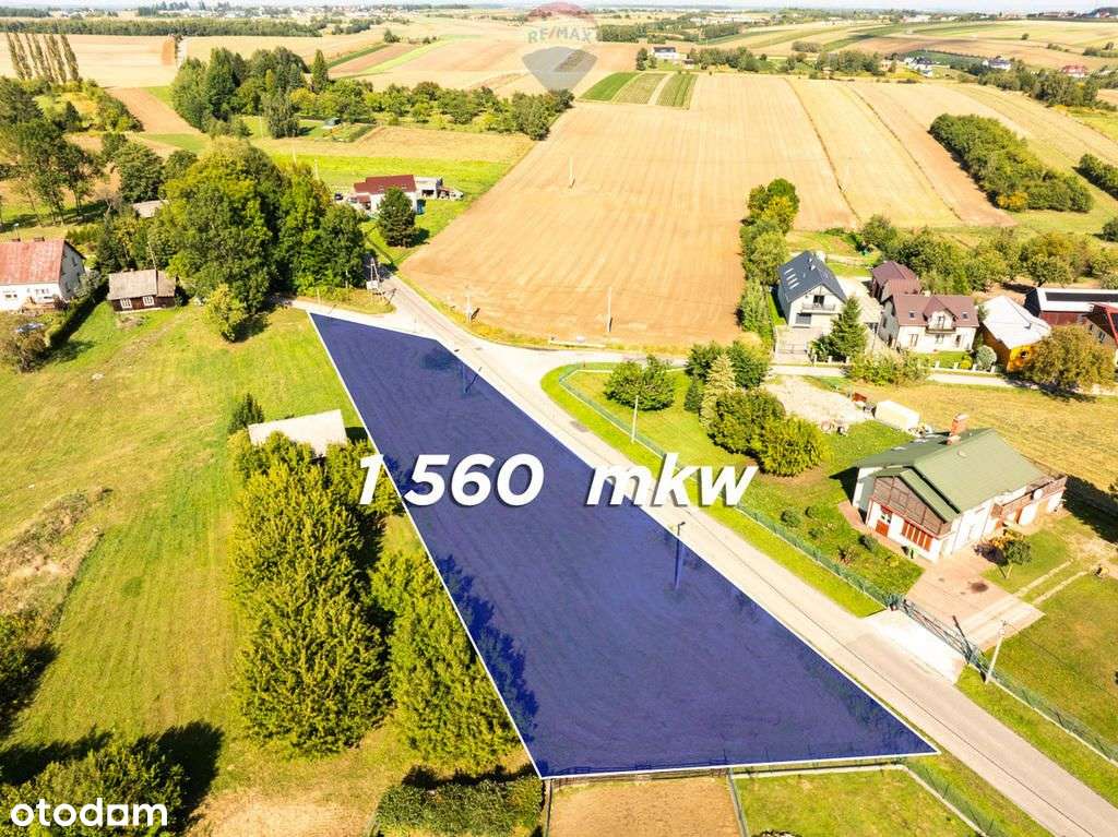 Piękna działka w okolicach Ojcowskiego Parku - Pełny obrazek: 4/14