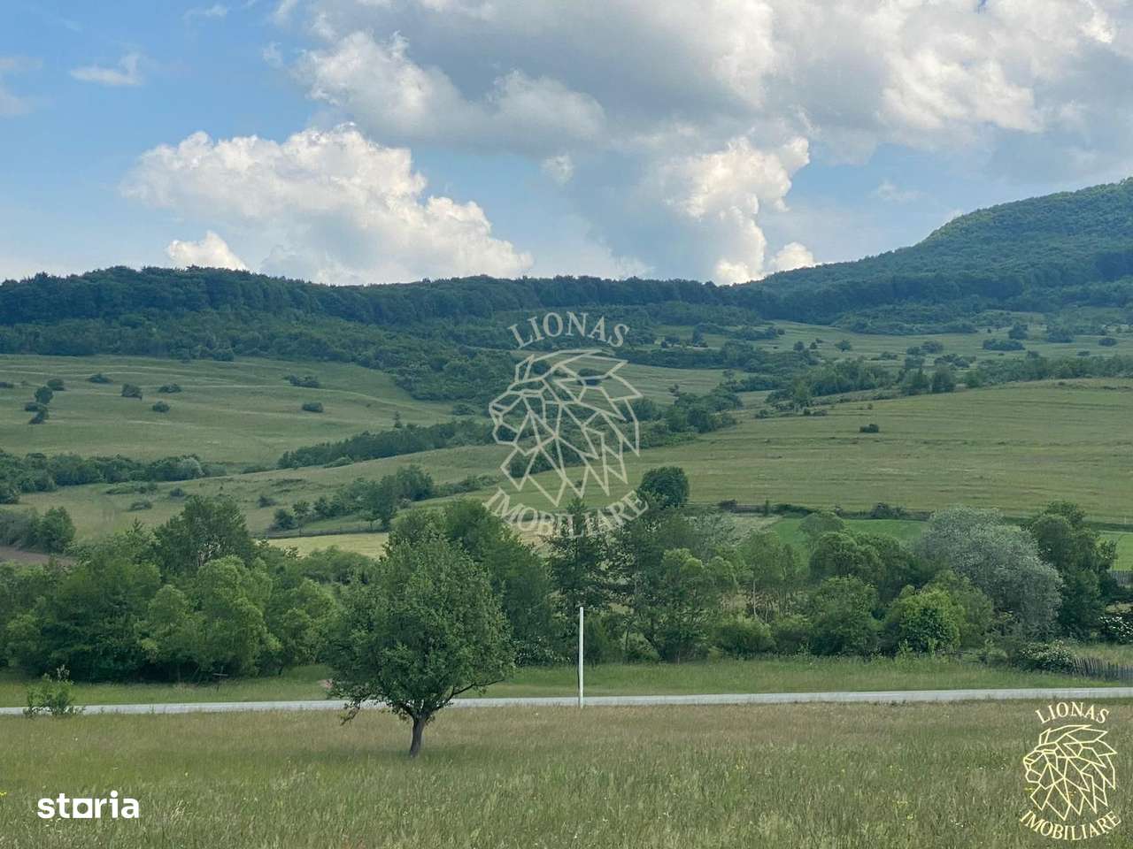 Teren 6500 mp-Lac-vedere panoramica-ideal cabana-Cusma - Imagine principală: 2/8