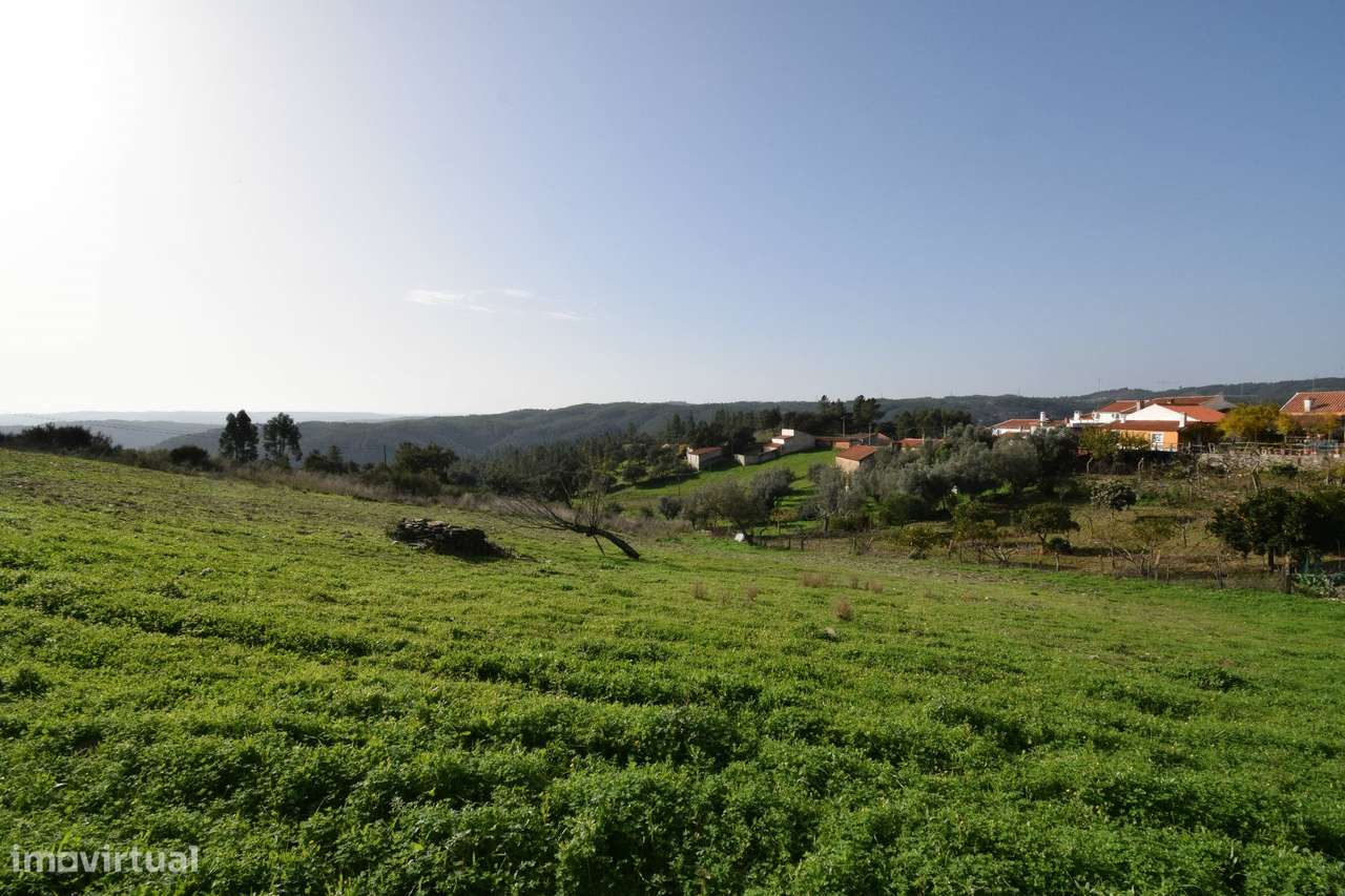 Moradia p/ Recuperar - Vila Ruivas - Grande imagem: 4/11