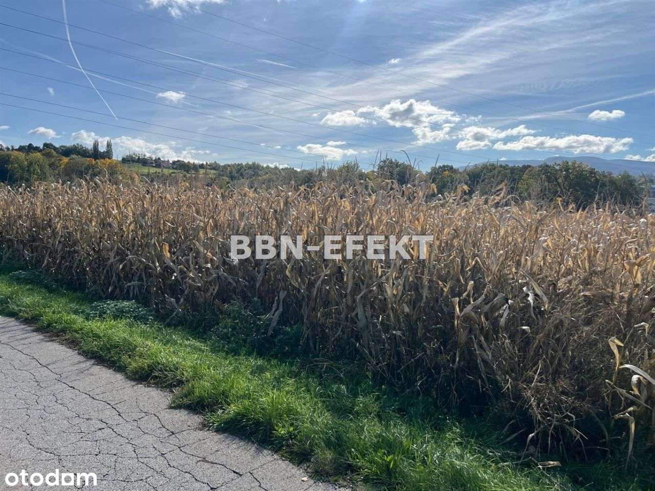 Mazańcowice/Bielsko - Pełny obrazek: 5/7