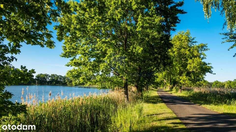 Atrakcyjna cena.Dolina Baryczy, działki z Wz. - Pełny obrazek: 4/7