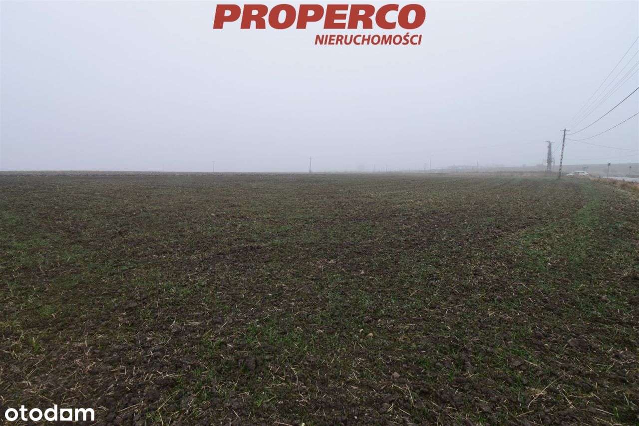 Działka 6200 m2, Potok Mały, gm. Jędrzejów - Pełny obrazek: 5/6