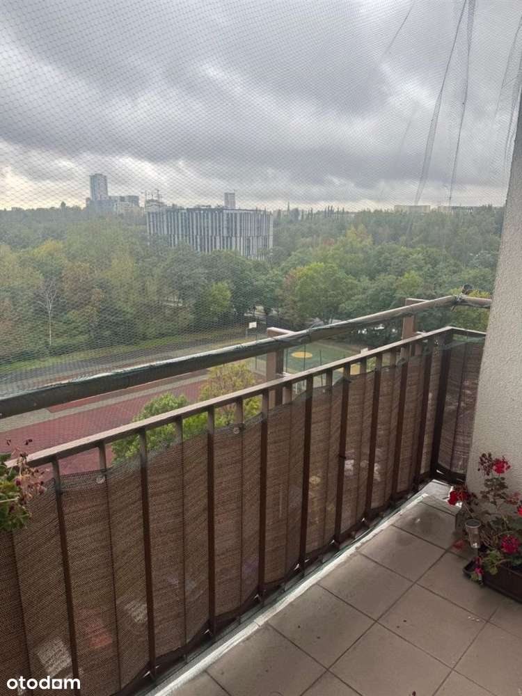 Zawodzie,dobra lokalizacja i winda przy mieszkaniu - Pełny obrazek: 1/6