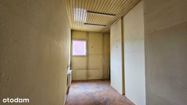 Lokal idealny do prowadzenia zajęć ruchowych!-3