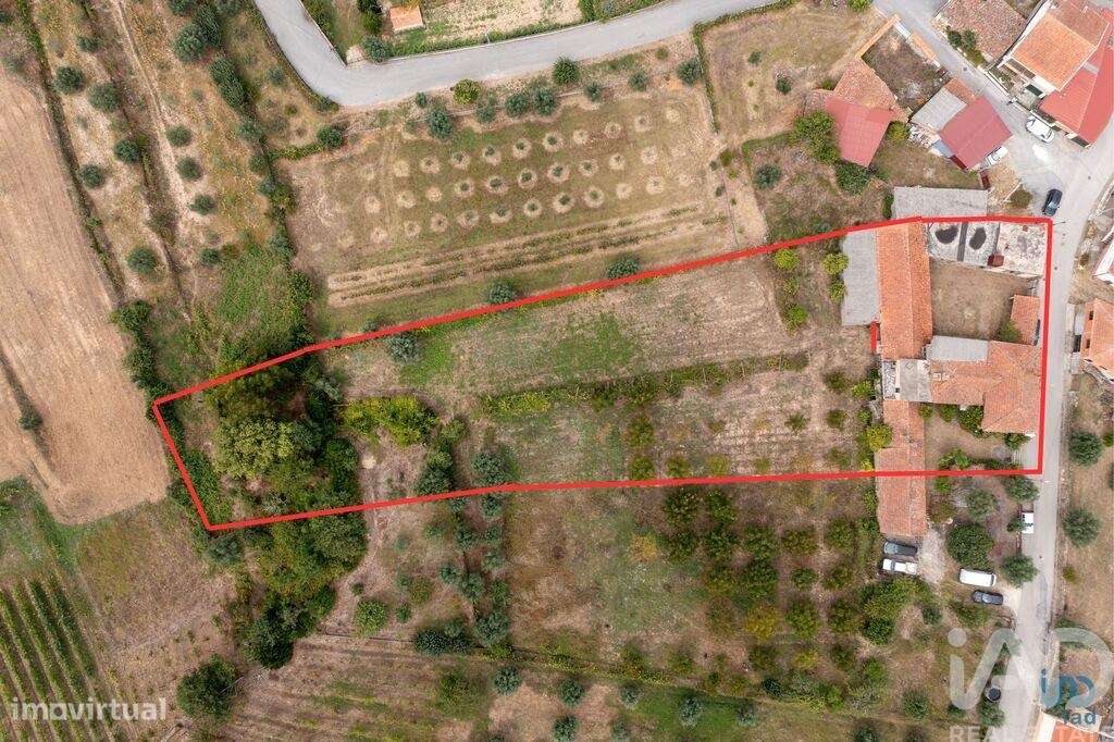 Casa / Villa T4 em Oliveira do Mondego e Travanca do Mondego de 131 m2 - Grande imagem: 4/37