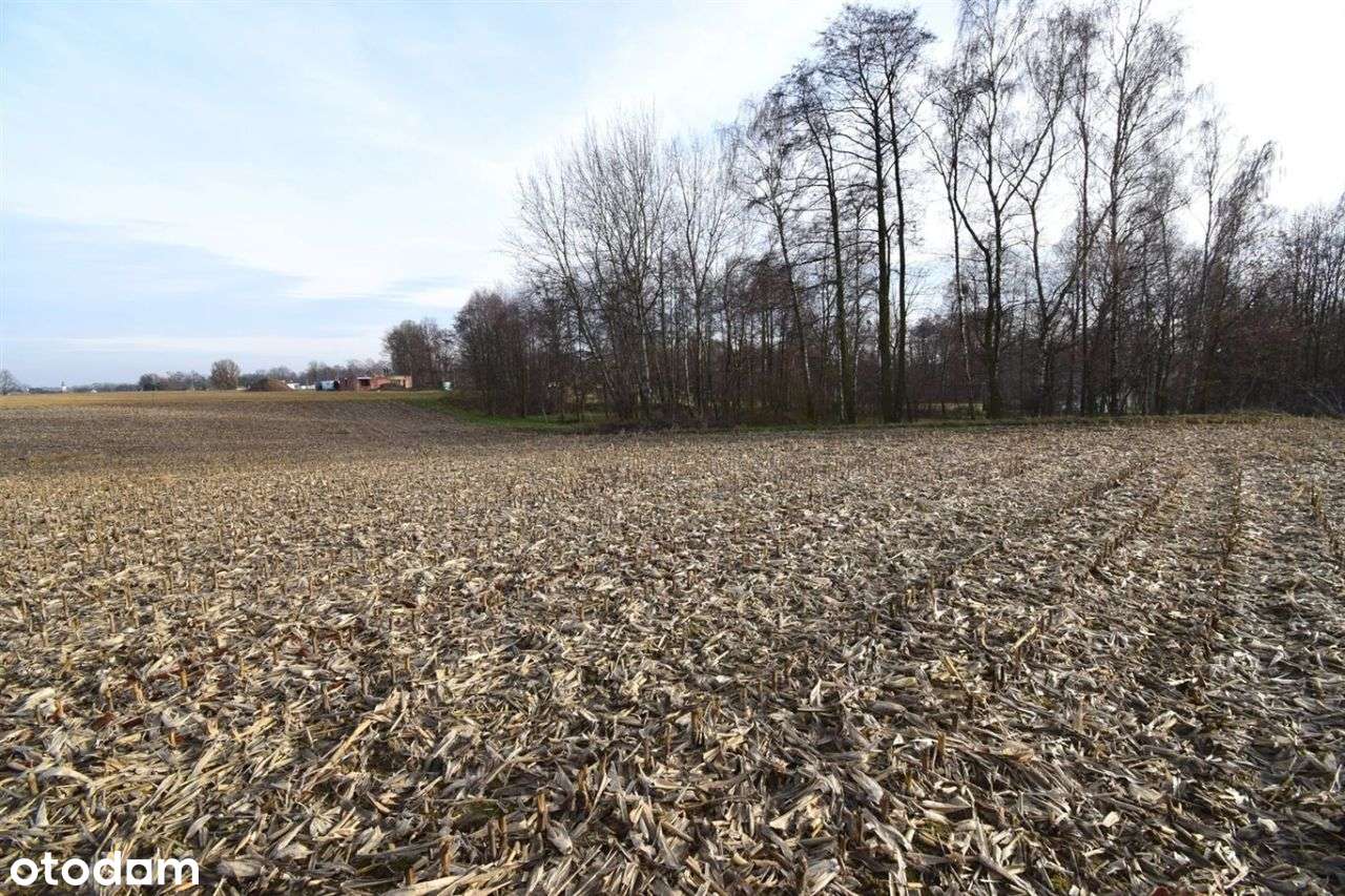 Działka budowlana w Studzionce 875 m2. - Pełny obrazek: 4/6