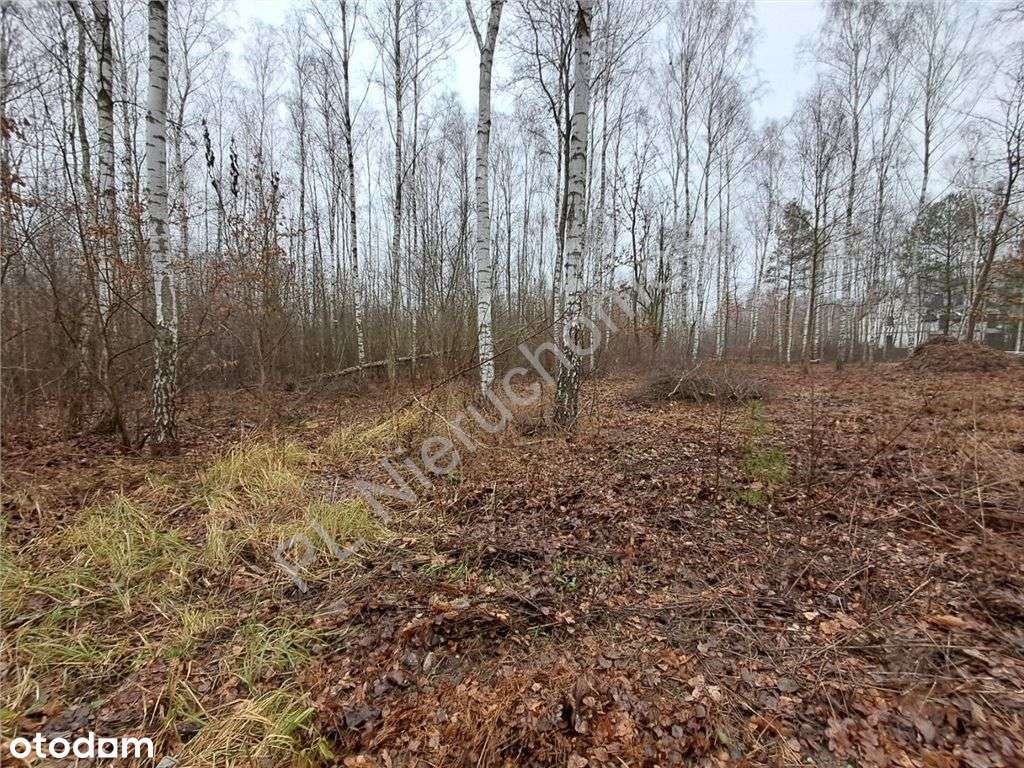 Idealna działka pod budowę domu blisko lasu - Pełny obrazek: 4/4
