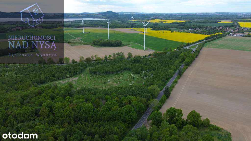 działka produkcyjno - usługowa! pow. 53 600 m2! - Pełny obrazek: 4/5