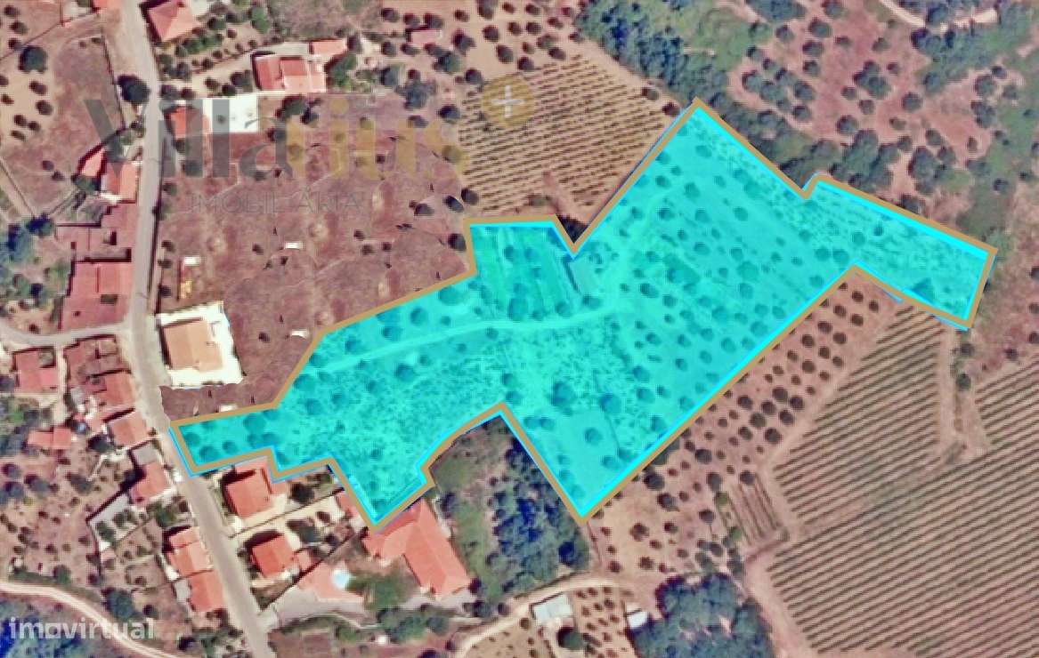 Terreno 11.513 m² com Projeto Aprovado — Tomar-32