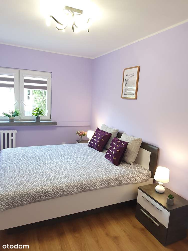 2-pokojowe mieszkanie po generalnym remoncie sprzedam - Pełny obrazek: 4/13