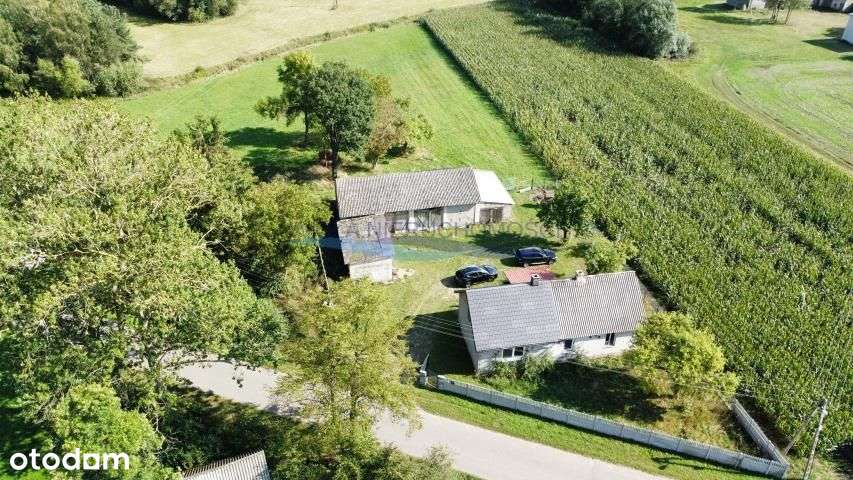 Działka, 4 036 m², Szczurów - Pełny obrazek: 4/4