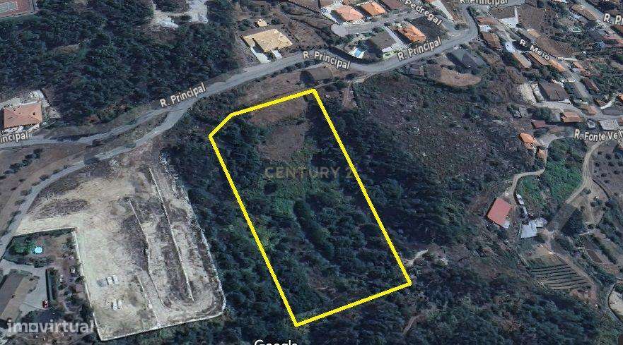 Quintinha em Cavernães, Viseu - Grande imagem: 3/5