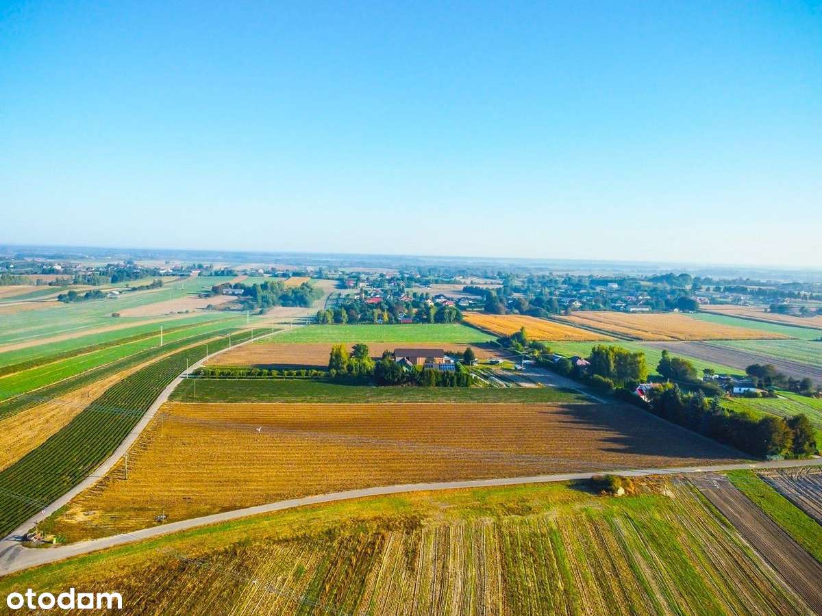 Ustawna, płaska działka w okolicach Łęcznej - Pełny obrazek: 4/10