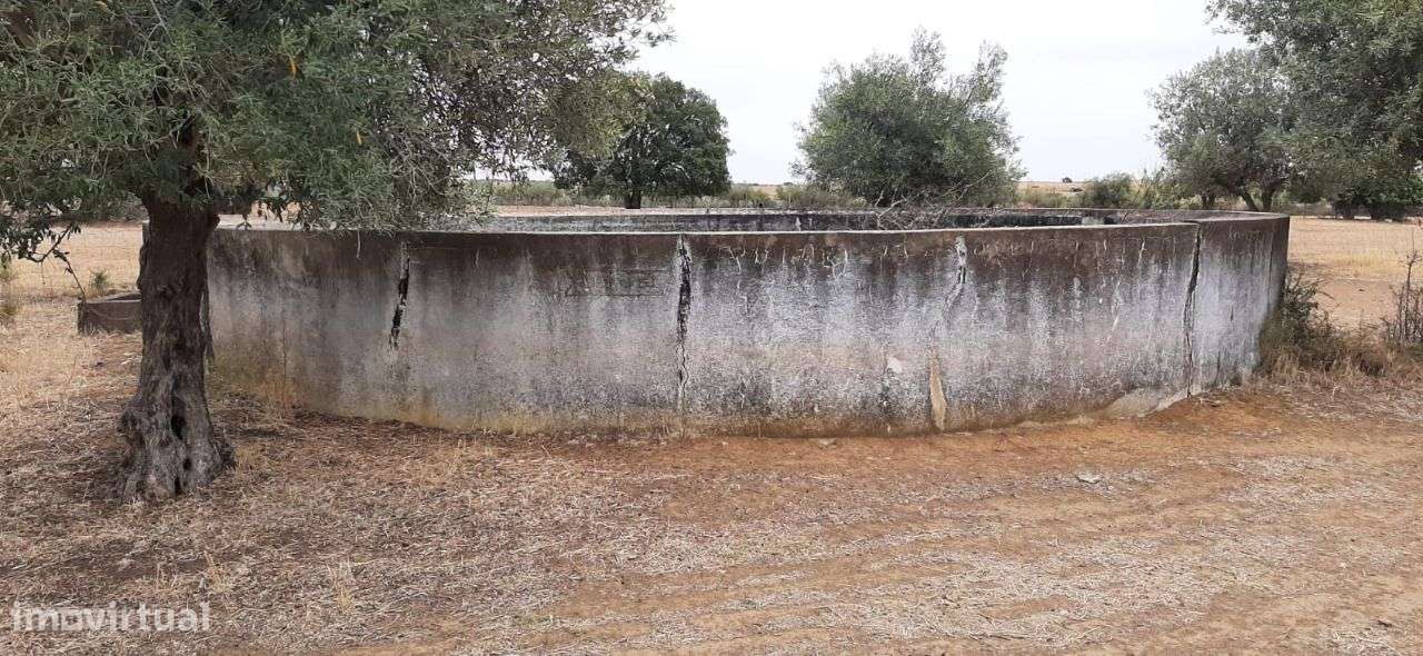 Terreno com Monte Alentejano-5