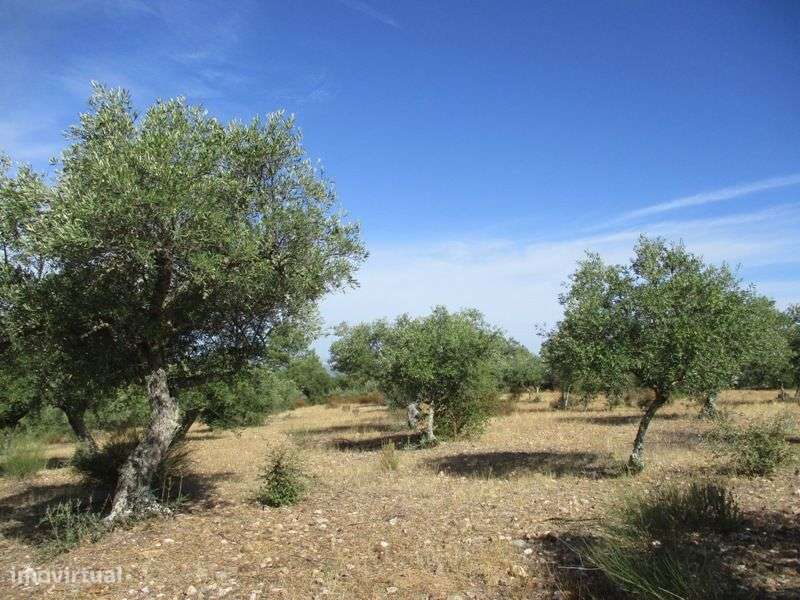 Terreno - Grande imagem: 4/16