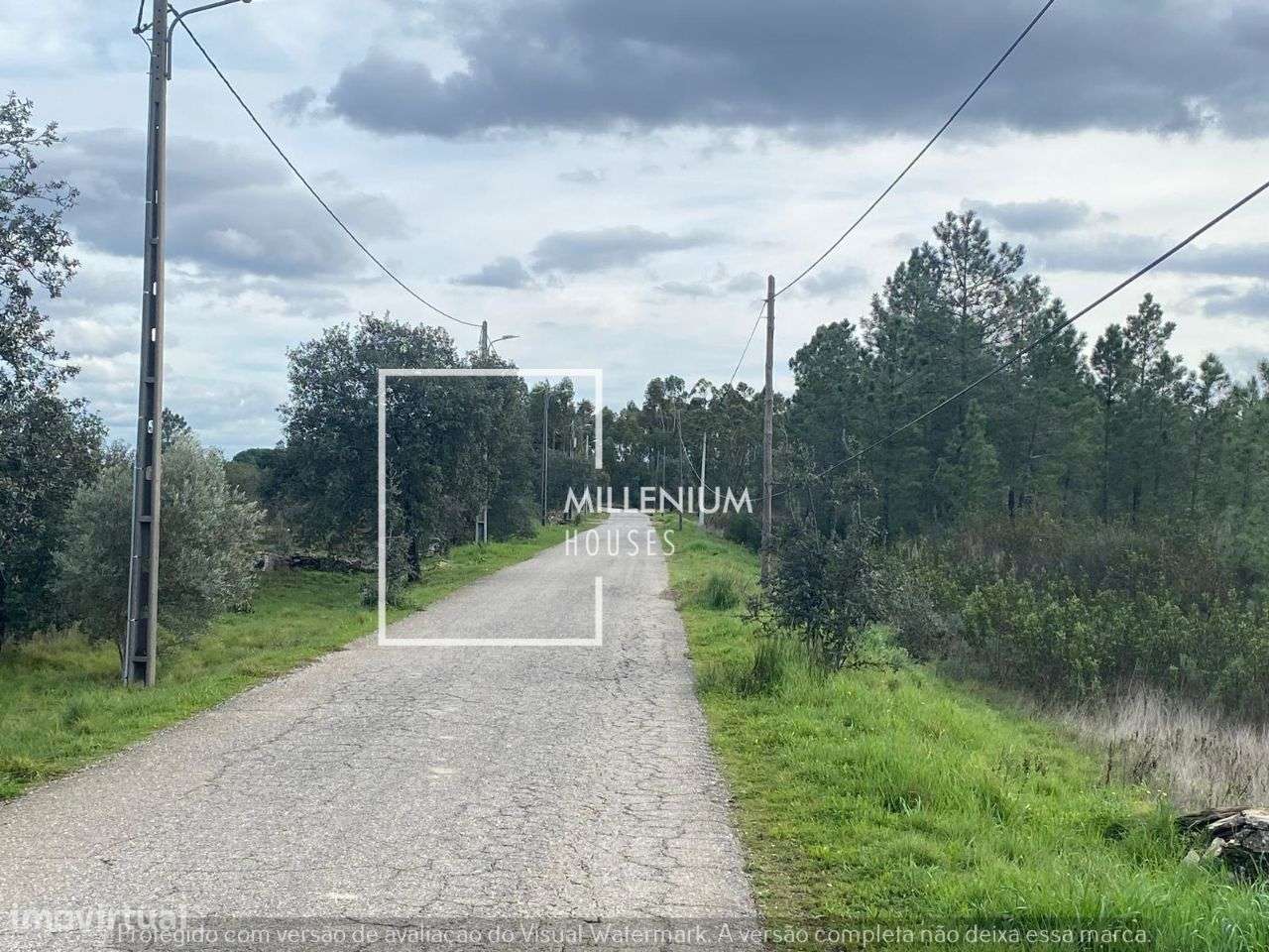 **Terreno Excecional em Sarnadas de Rodão**-2
