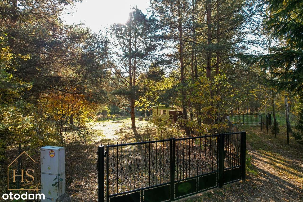 Piękna działka pod zabudowę/Zalesie gm. Żabia Wola/35 min od Wa-wy-19