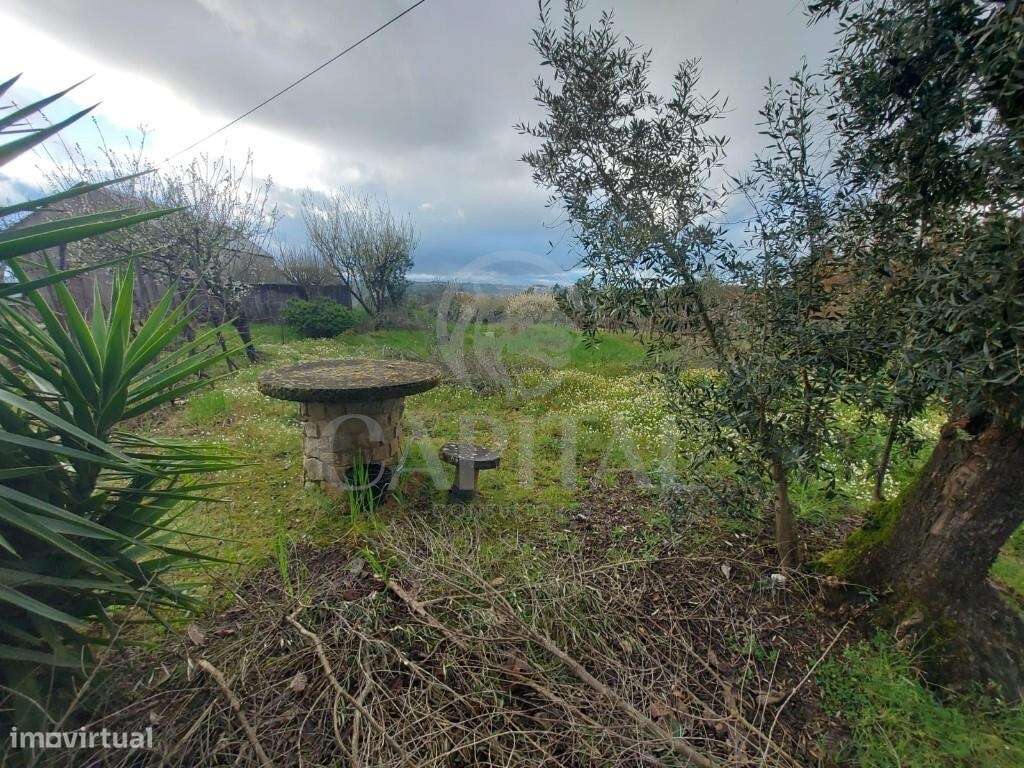 Terreno para Construção em Povoa de Midões -Tábua - Grande imagem: 2/9