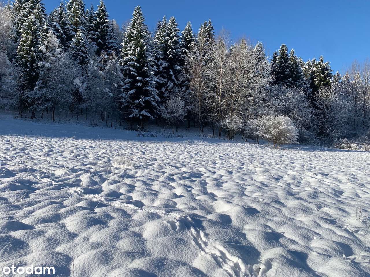 Duża działka w Zawoi Podpolice-9