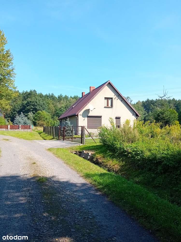 Działka pod lasem - Pełny obrazek: 4/5