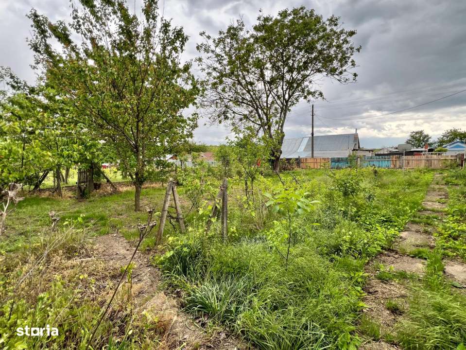 Casa + teren 4430 mp, vie si pomi fructiferi, 22 km de Tecuci-10