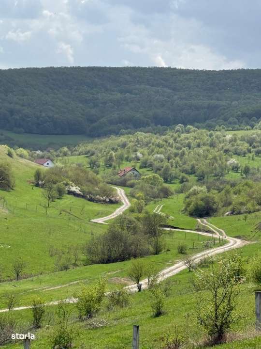 Teren intravilan, 724mp, zona Valea Sanislau-0