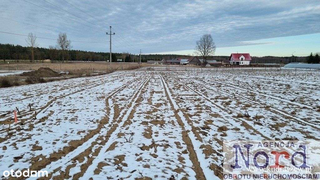 Działka, Macharce, Gmina Płaska - Pełny obrazek: 5/9
