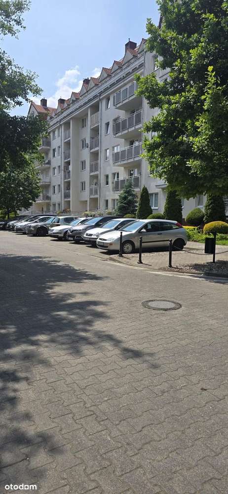 Mieszkanie 2 pokojowe na wynajem Poznań Wilda