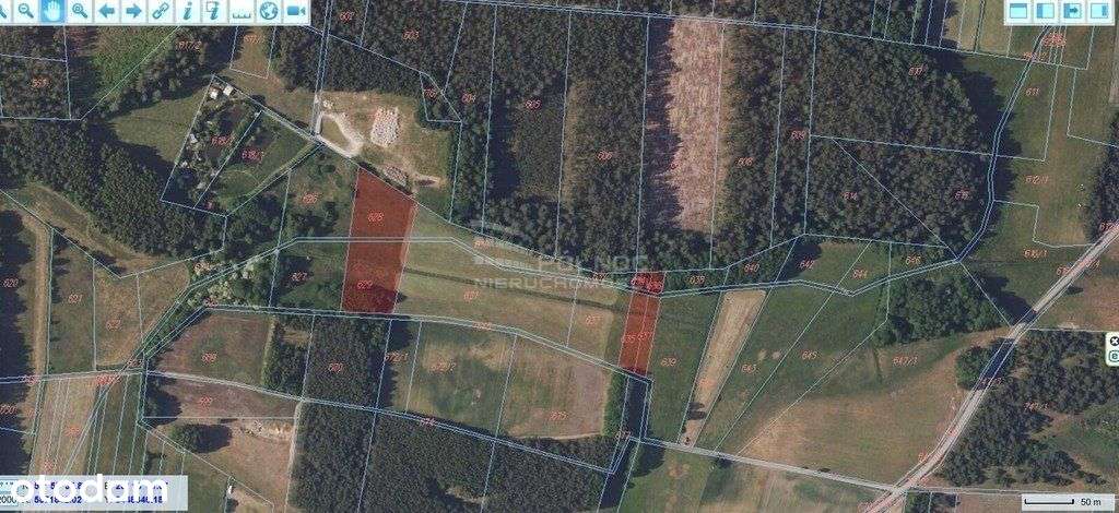 Rolna działka 0,8 ha Krynickie gm. Zabłudów - Pełny obrazek: 5/18