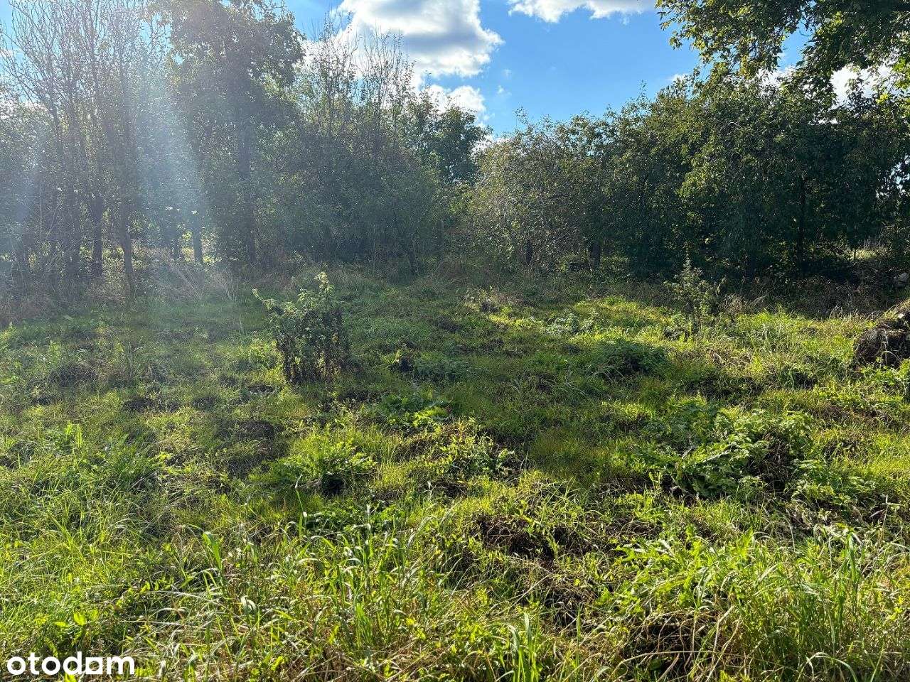 Mieszkanie bezczynszowe z działką -7km do morza-15