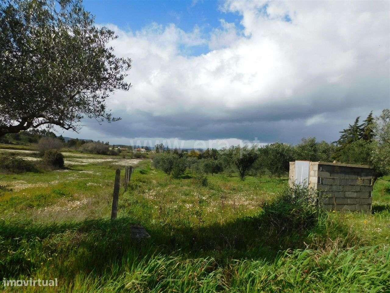 Quintinha / Fundão, Quintas da Torre - Grande imagem: 3/7