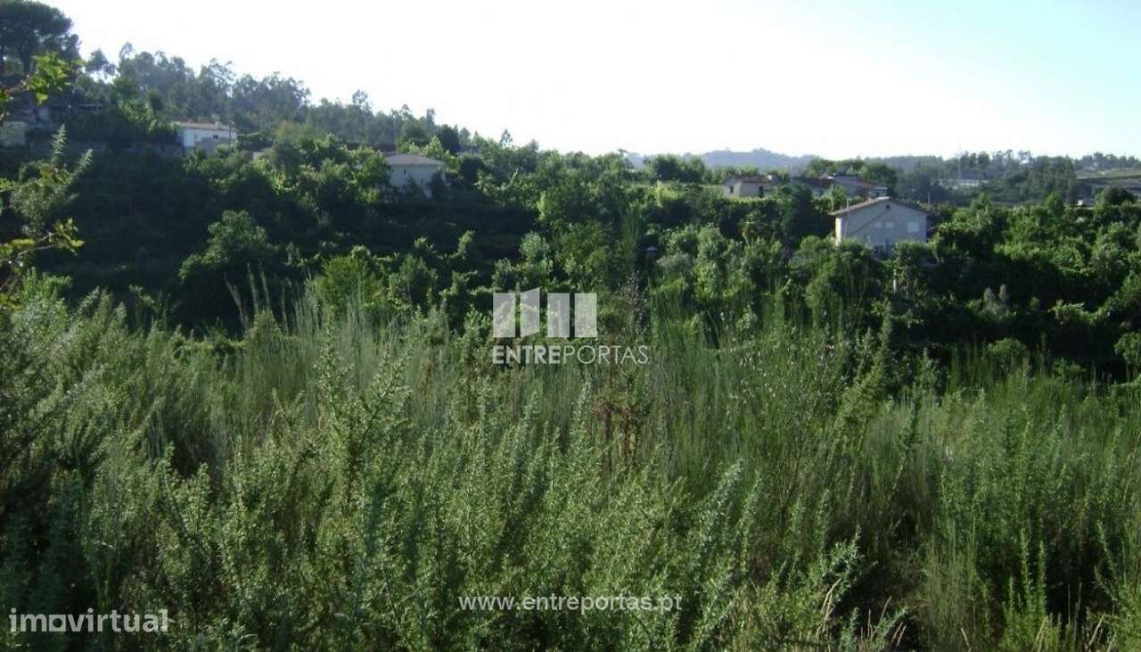 Venda Terreno, Constance, Marco de Canaveses - Grande imagem: 5/5