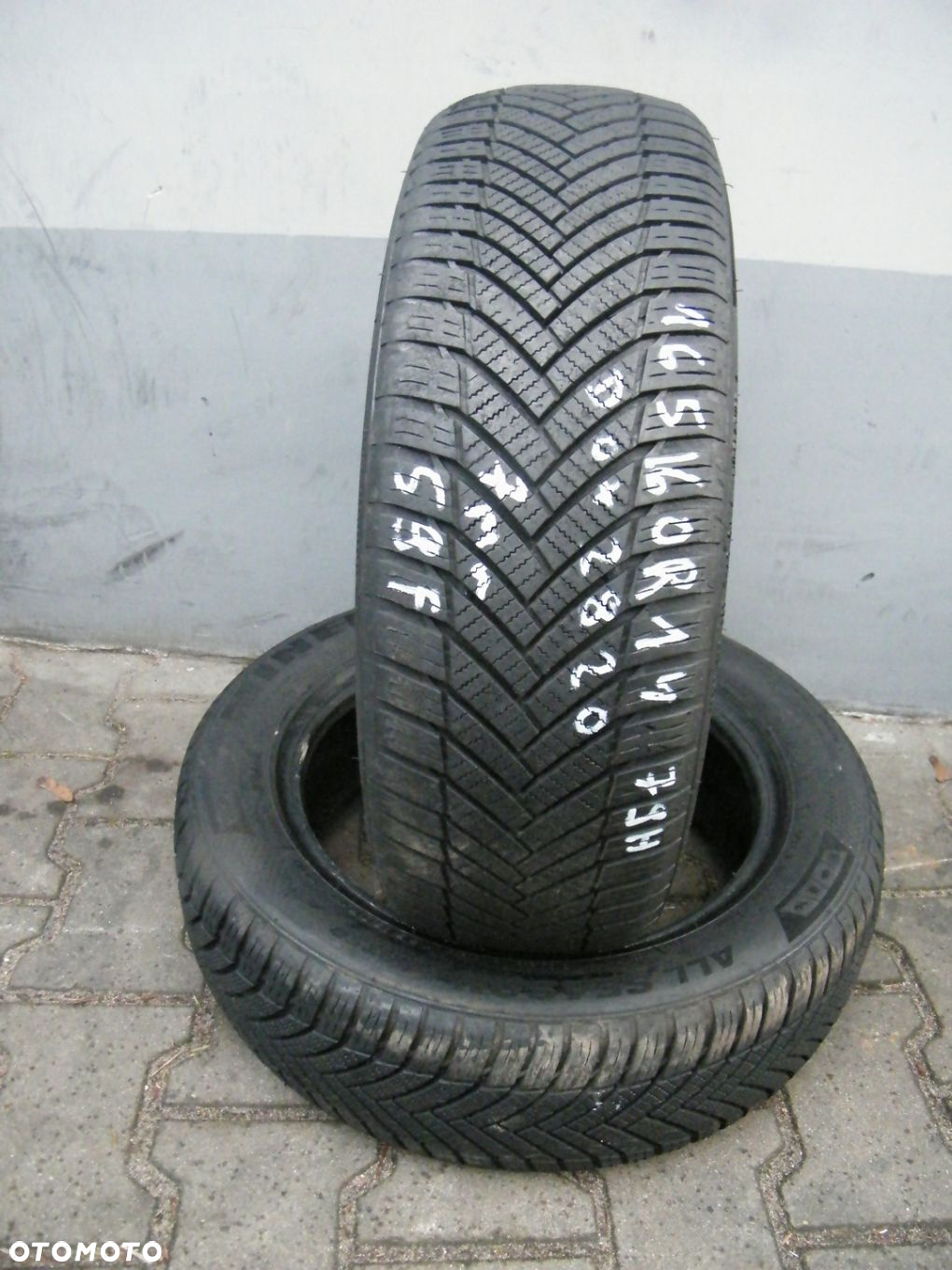 59F 2XC 165/60R14 79H MINERVA ALL SEASON MASTER - 3