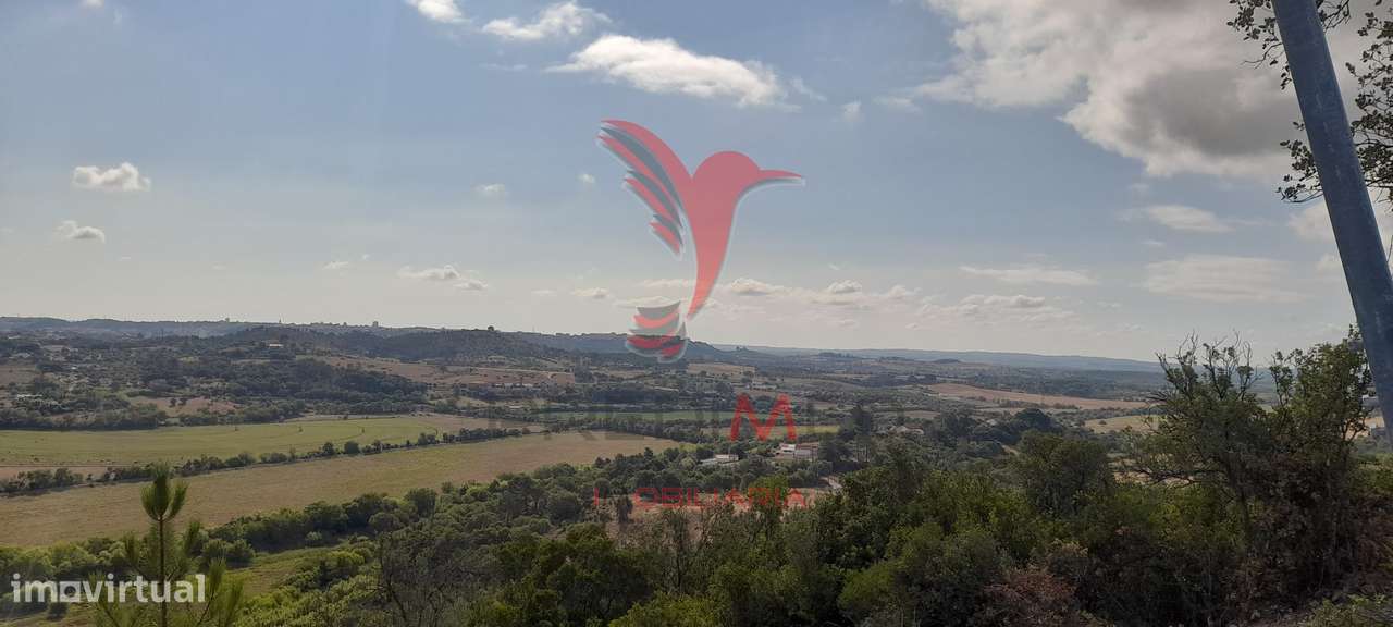 Terreno Rústico - Grande imagem: 4/11