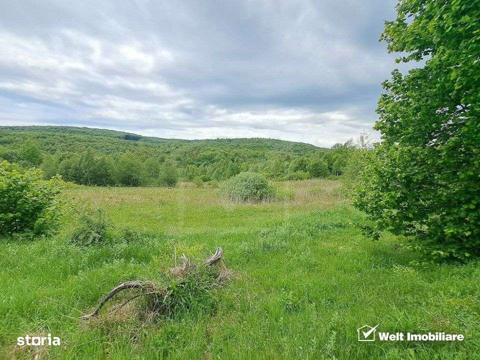 Teren 5000 mp,  la 300 m de Lacul Micesti - Imagine principală: 5/5