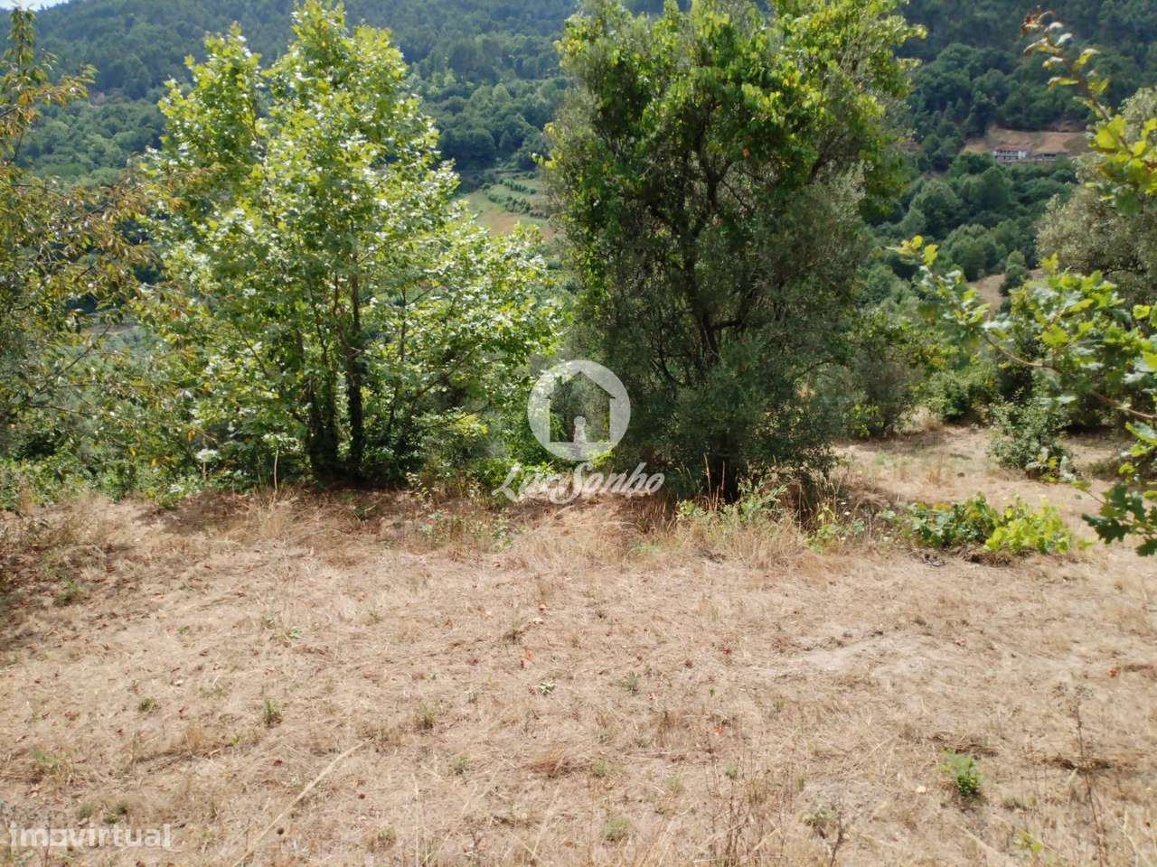 Terreno Caçarilhe Celorico de Basto - Grande imagem: 5/10