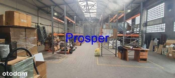 Magazyn, Produkcja od 375m2 do 748m2 - Pełny obrazek: 4/4