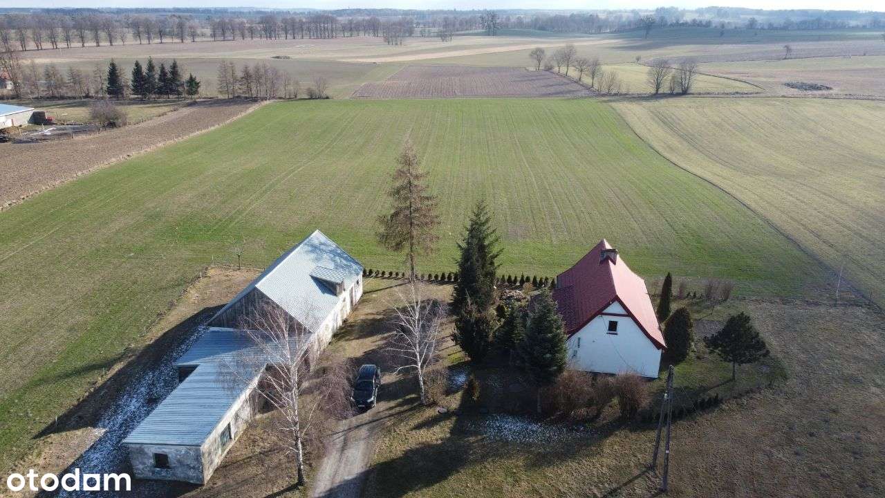 Dom Frygnowo, 109m2, działka 331, 5531m2 - Pełny obrazek: 4/12